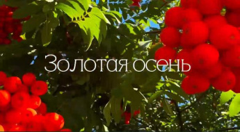 «Золотая осень»