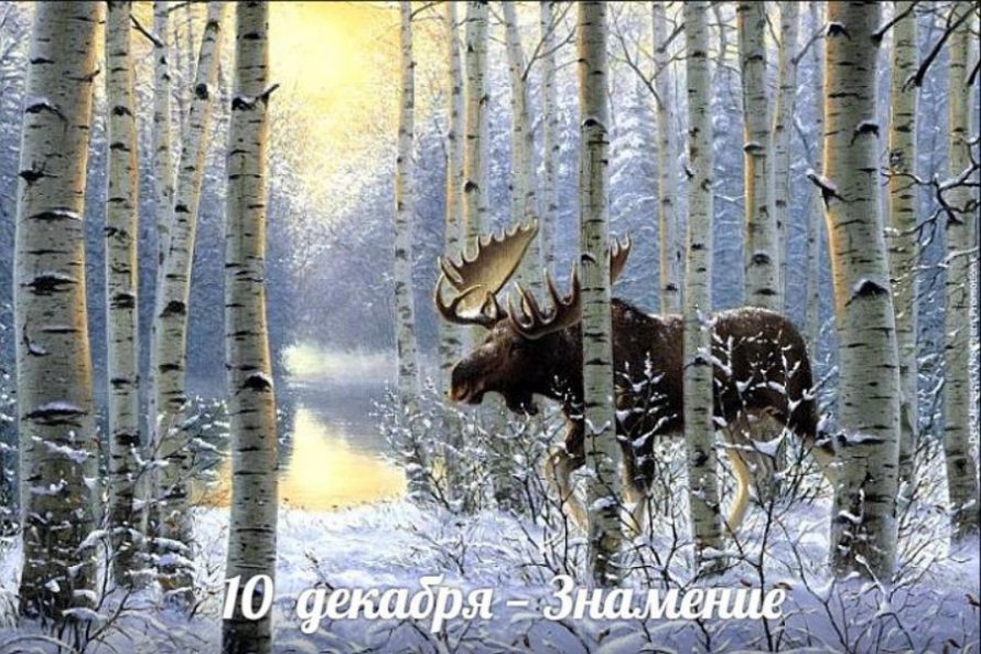 10 декабря. Этот день