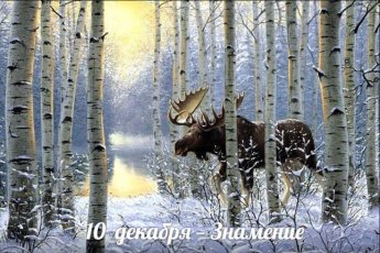 10 декабря. Этот день