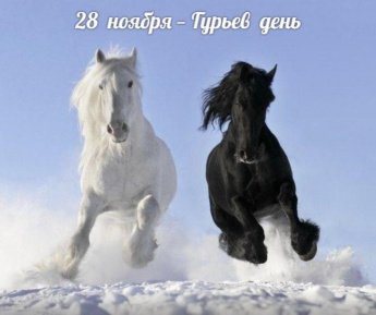28 ноября.Этот день