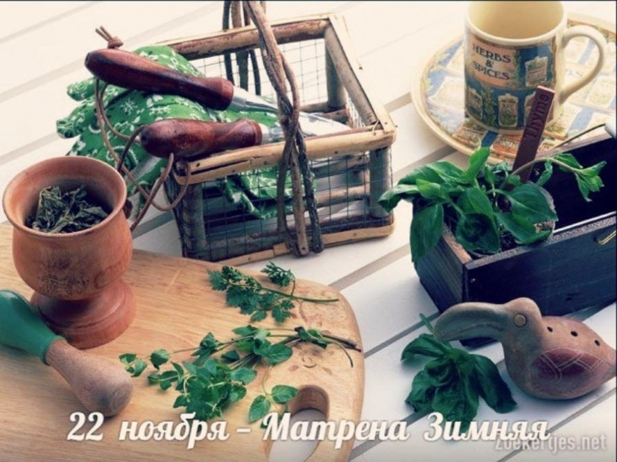 22 ноября. Этот день