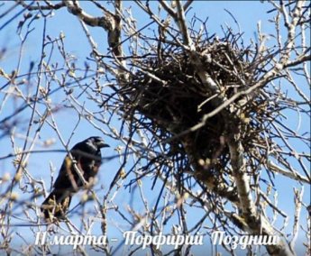 11 марта. Этот день