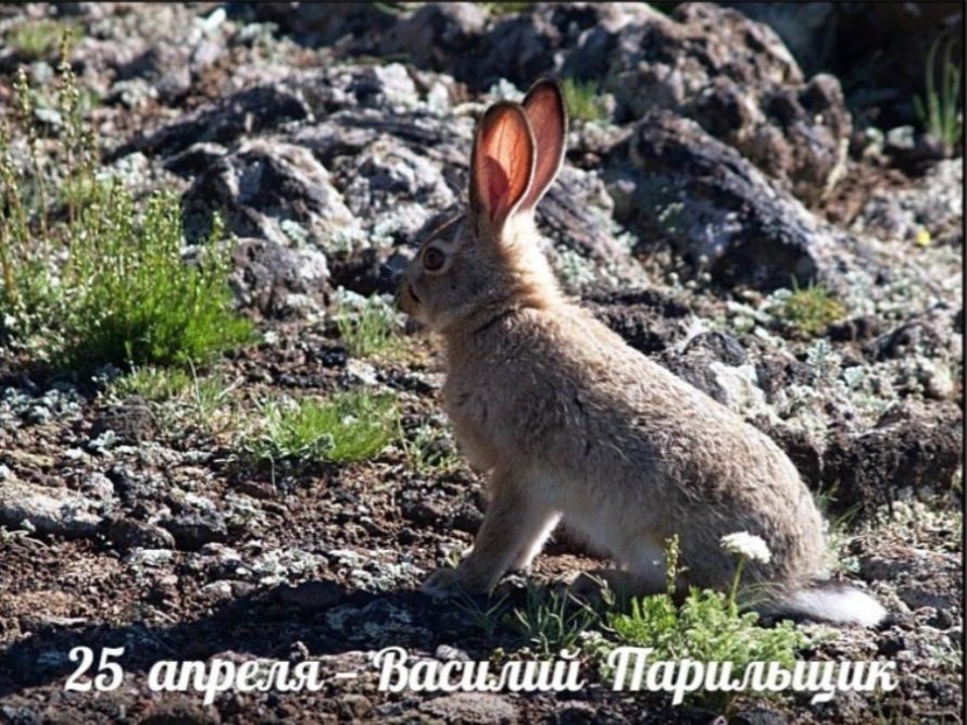 25 апреля. Этот день