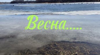 КИБО. Путевые заметки. Март