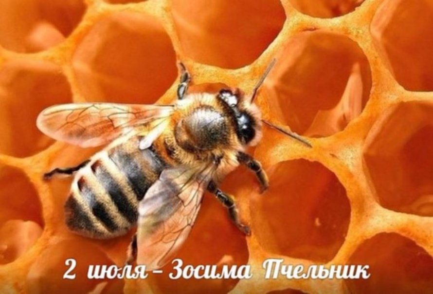 Народный календарь