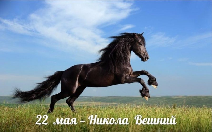 22 мая. Этот день