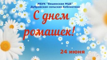 «Цветы ромашки в искусстве и литературе». Дубровская сельская библиотека