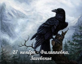 27 ноября. Этот день