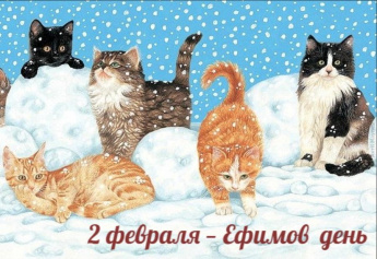 2 февраля. Этот день