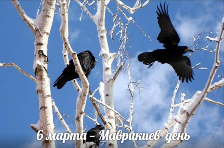 6 марта. Этот день