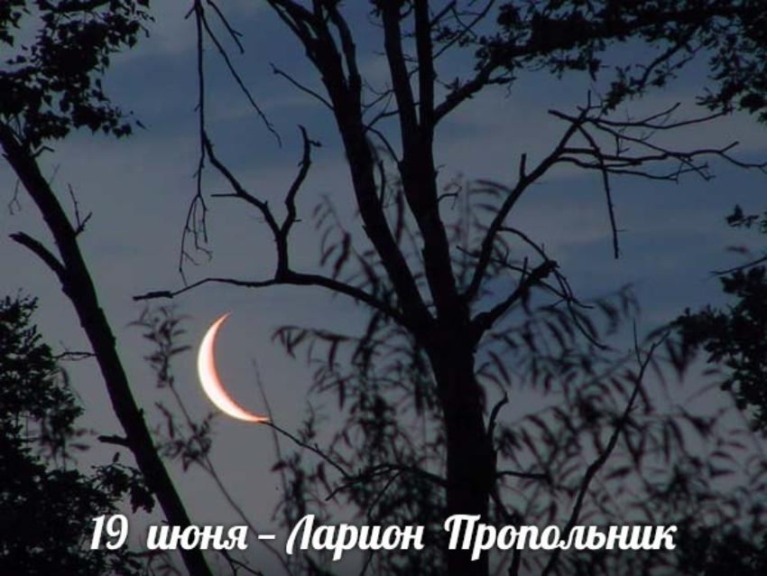 19 июня. Этот день