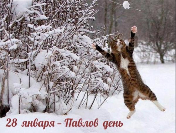 28 января. Этот день