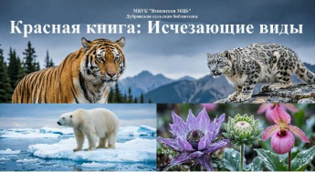 «Исчезающая красота». Дубровская сельская библиотека
