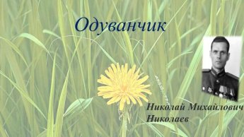 Николай Николаев «Одуванчик»