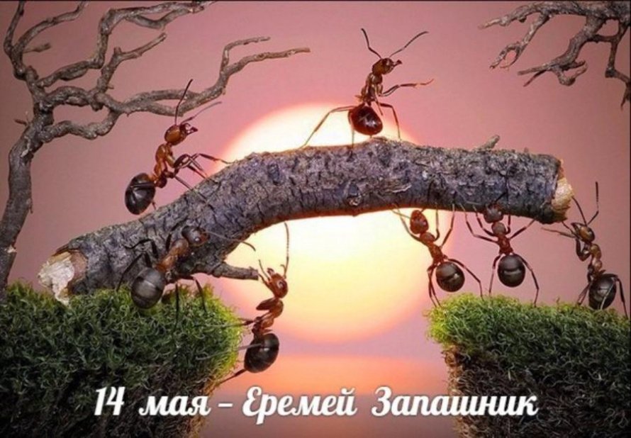 14 мая. Этот день