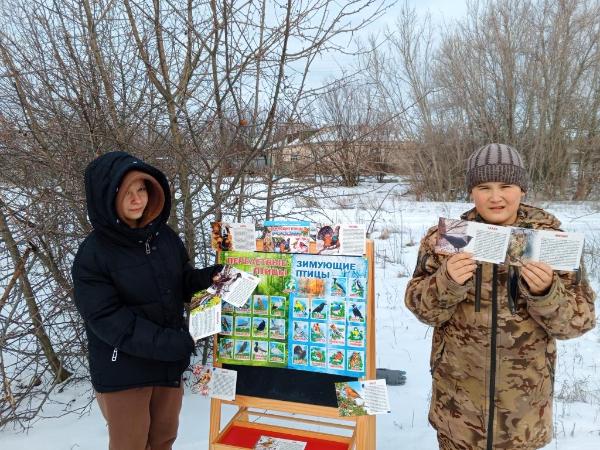 «Зимующие птицы России». Экологическая акция. Калиновская сельская библиотека