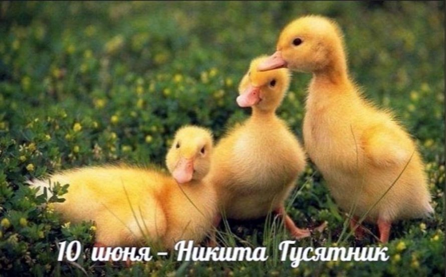 10 июня. Этот день