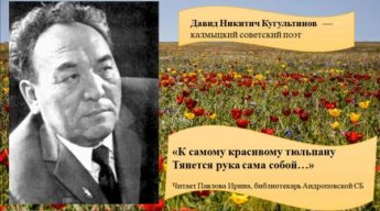 Литературно-поэтический марафон «Поэтическая палитра народов России»