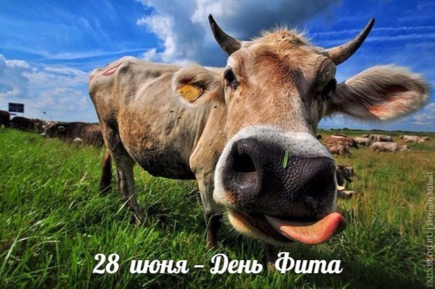 28 июня. Этот день