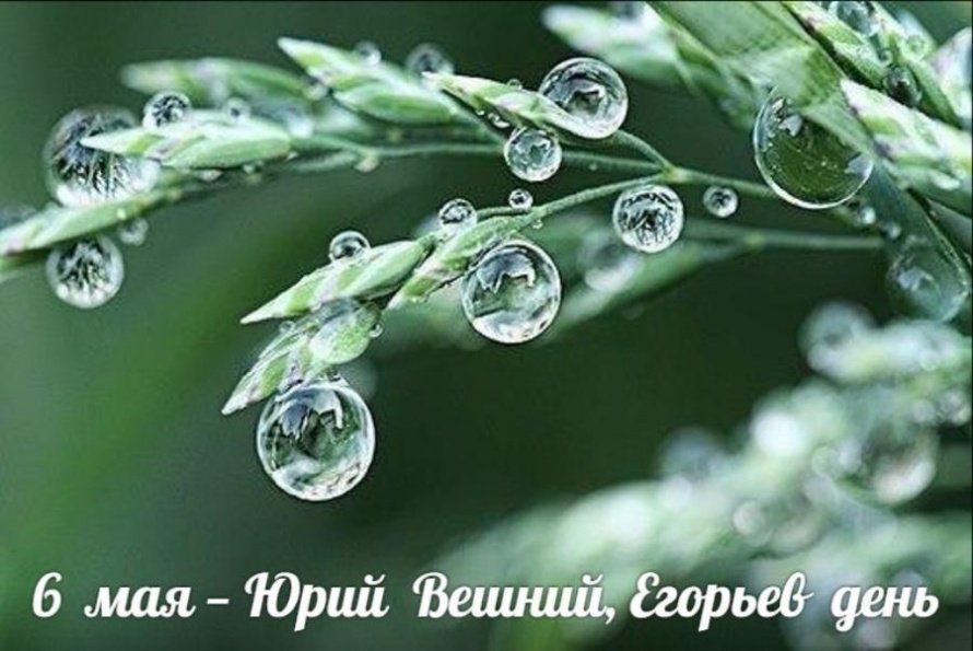 6 мая. Этот день