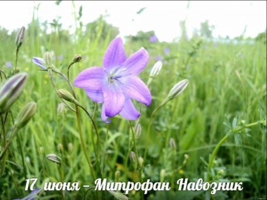 17 июня. Этот день