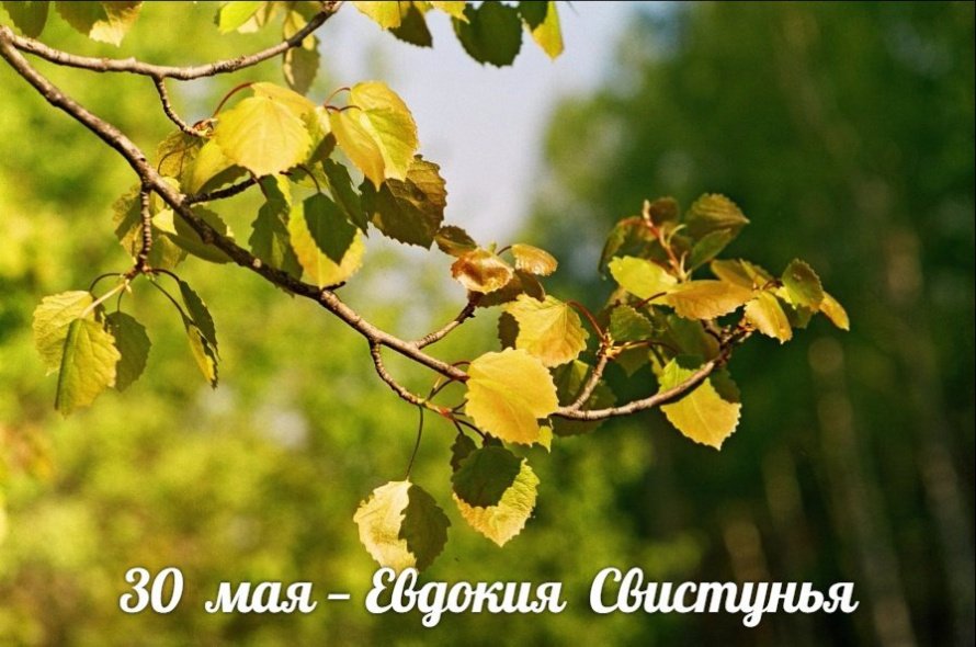 30 мая. Этот день