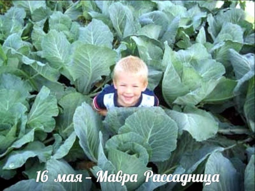 16 мая. Этот день