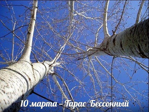 10 марта. Этот день