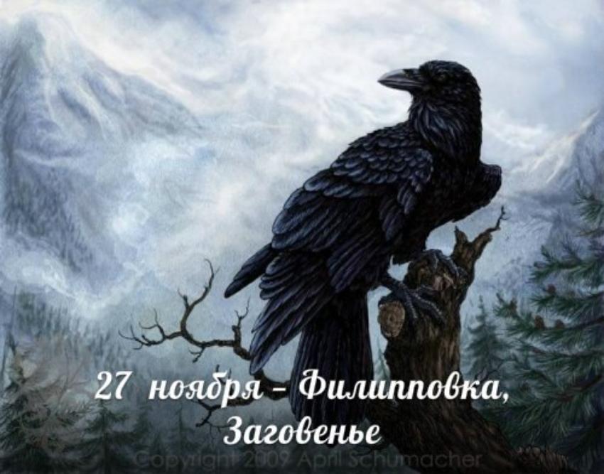 27 ноября. Этот день