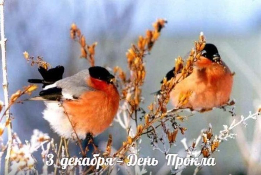 3 декабря. Этот день