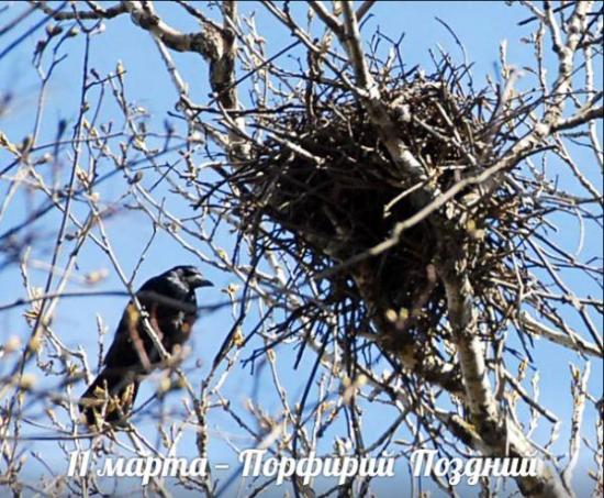 11 марта. Этот день