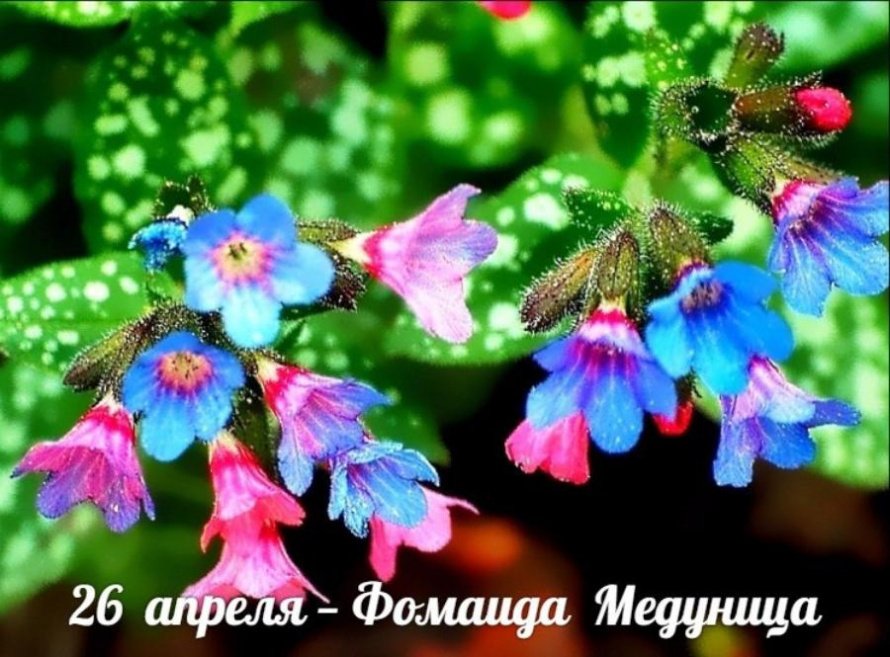 26 апреля. Этот день