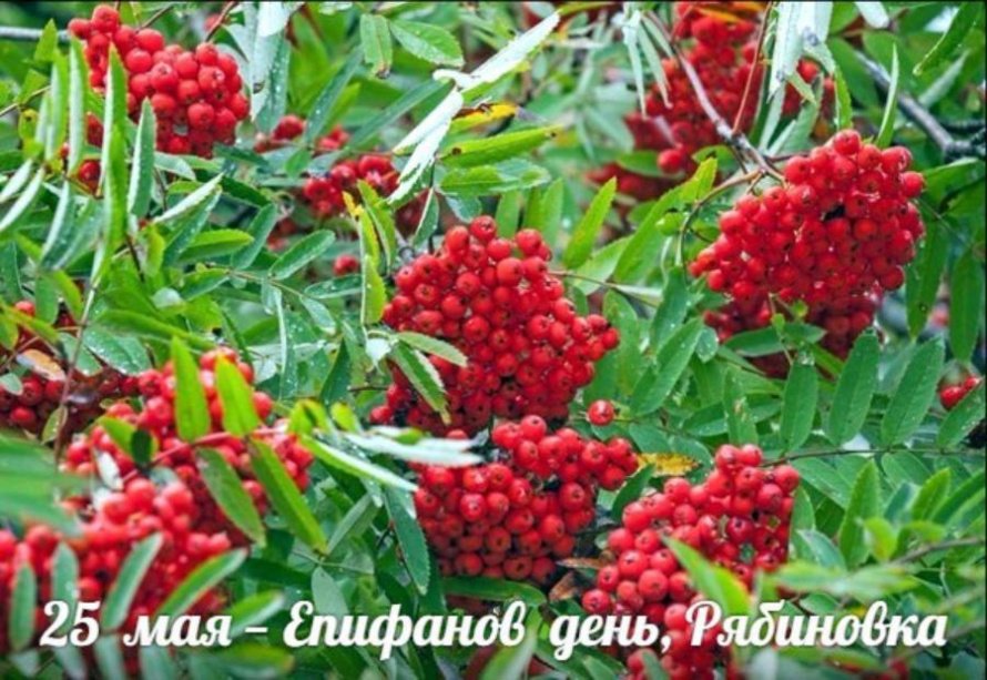 25 мая. Этот день