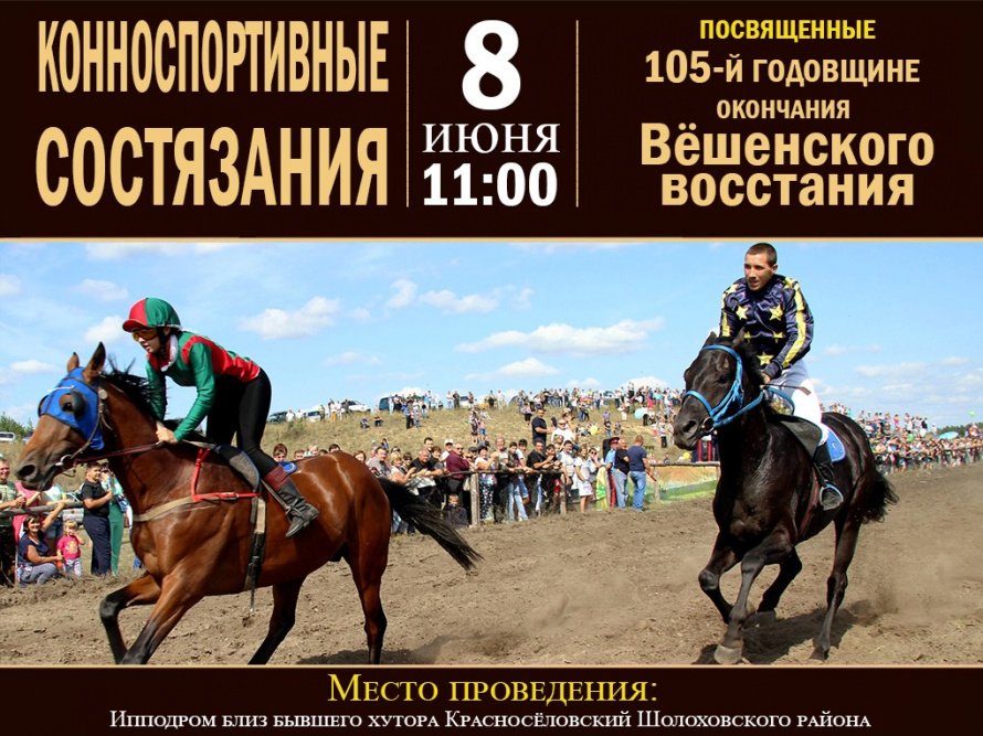 Конноспортивные состязания