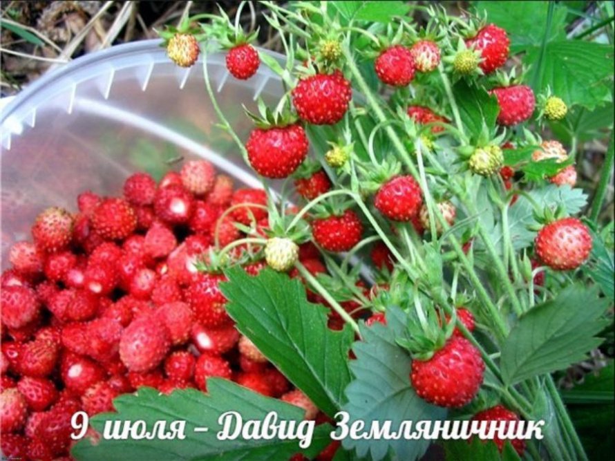 9 июля. Этот день